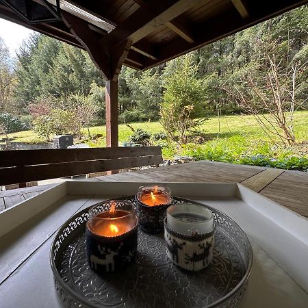 Charming Villa On The Forest In Wald 12 Guests Hugh Garden Willingen Sauerland بريلون المظهر الخارجي الصورة