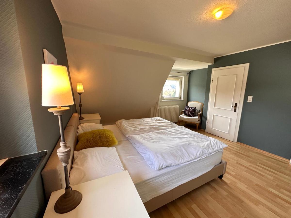 Charming Villa On The Forest In Wald 12 Guests Hugh Garden Willingen Sauerland بريلون المظهر الخارجي الصورة