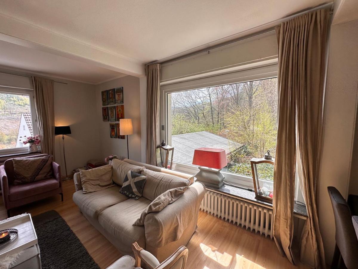 Charming Villa On The Forest In Wald 12 Guests Hugh Garden Willingen Sauerland بريلون المظهر الخارجي الصورة